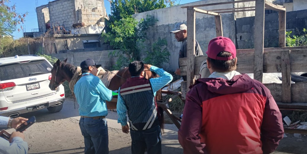 Problemas ambientales y de salud, provocan carretoneros a Matamoros; alcalde les ofrece empleo