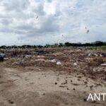 Detectó la PAUT riesgo ambiental en Camargo; limpian y reubican desechos