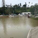 Fundamental unión de esfuerzos de COMAPA SUR y la sociedad para cuidar el agua