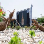 Inaugura Mónica Villarreal la exposición Insectus. Ciencia. Arte y Cultura
