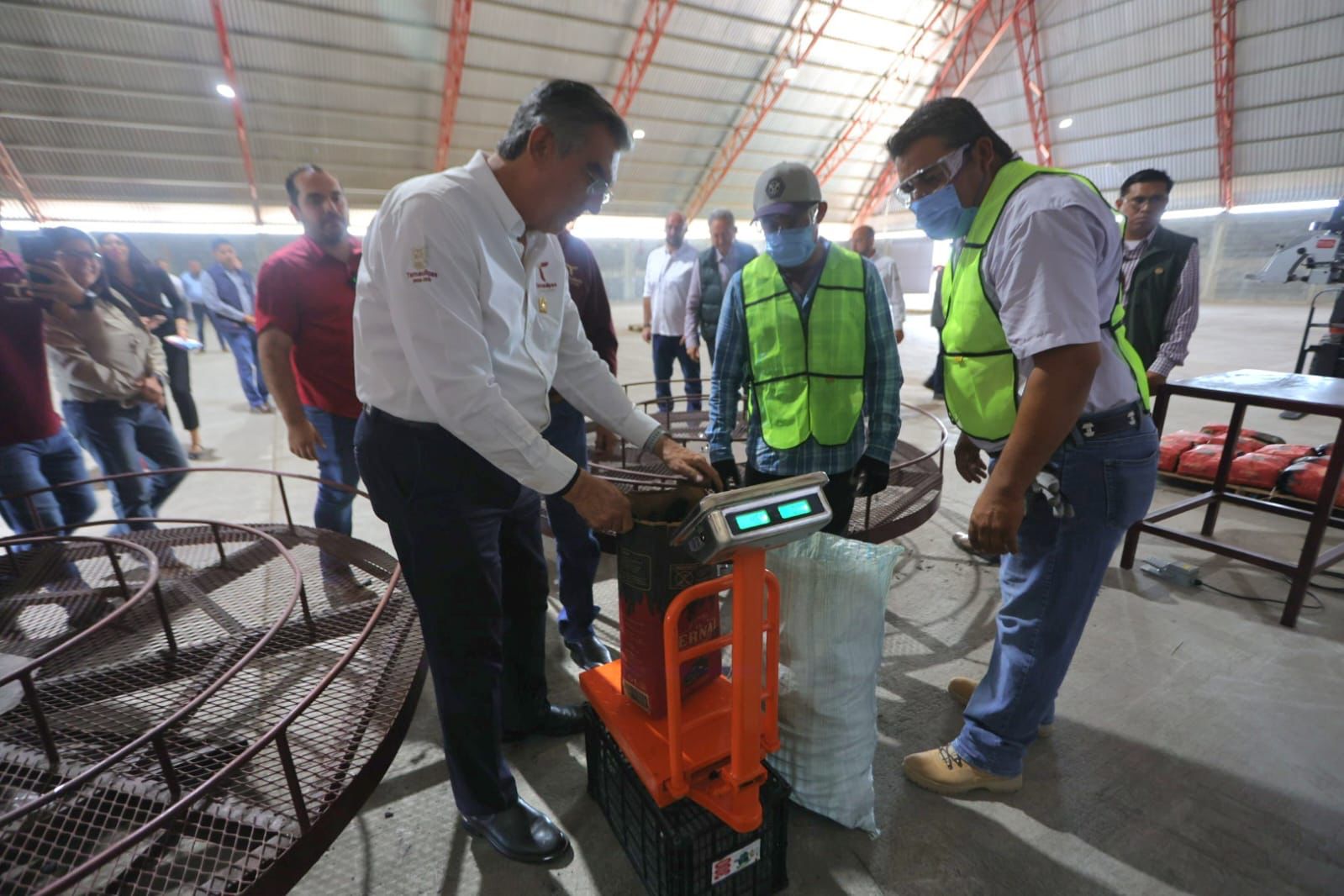 Iniciará operaciones empacadora de carbón vegetal “El Bernal”