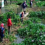 Destinan Madero recursos para la limpieza de lagunas