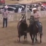 Al menos 7 muertos en Parral, Chihuahua, por riña durante carrera de caballos