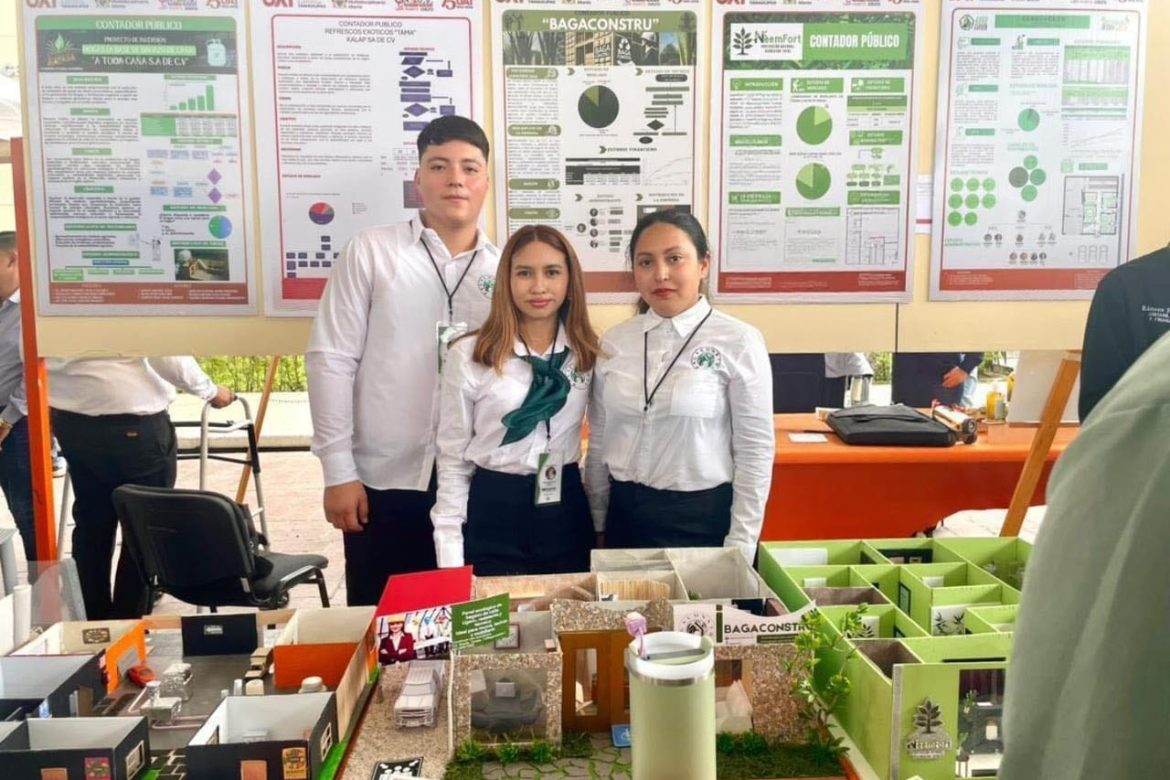 “Innovación UAT”: Crean panel de bagazo de caña para construcción