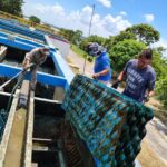 Realiza COMAPA Sur mantenimiento en sedimentadores de la Planta Potabilizadora Laguna de la Puerta