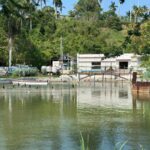 Buen nivel del sistema lagunario refleja resultados de acciones implementadas tras la crisis hídrica: COMAPA
